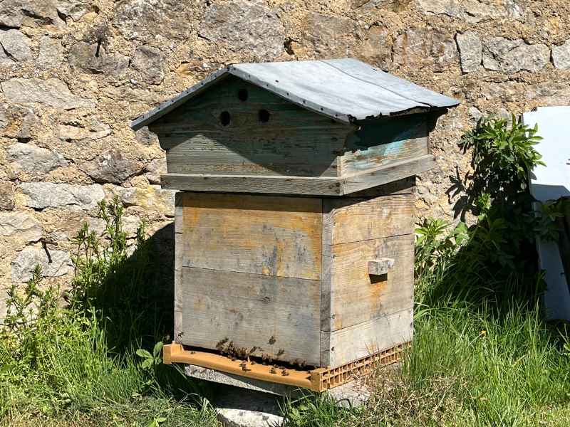 Bienenstock aus Holz